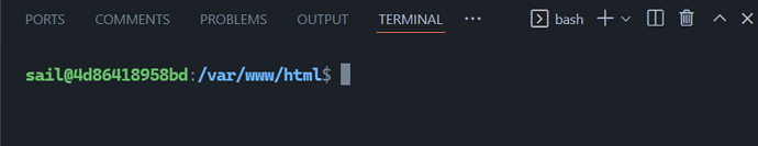 The VS Code terminal connected to the running container instance