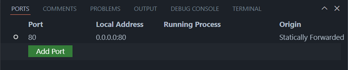 The port forwarding view in VS Code showing port 80 forwarded